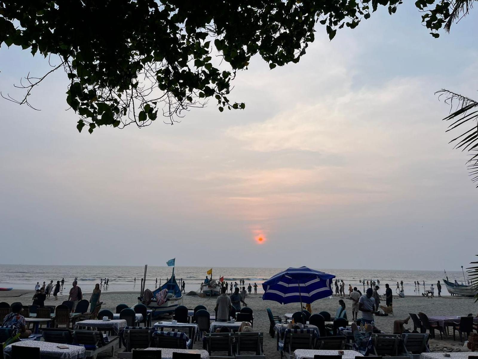 Hakuna Matata - Best Budget Stay At Arambol Beach, Goa Extérieur photo